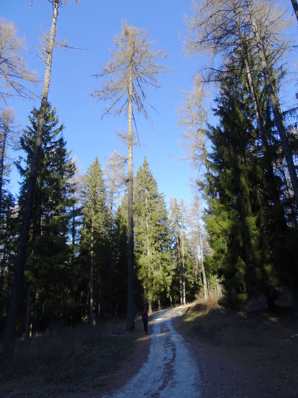 Corno di Tres - Corno del Cervo